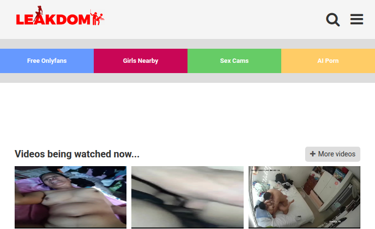 LeakDom Review 2026: Free Leaked Adult Content and Domination Videos